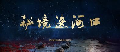 狗狗被扔在路边，淋着雨一脸无辜相，宠主：看你还敢拆家不？