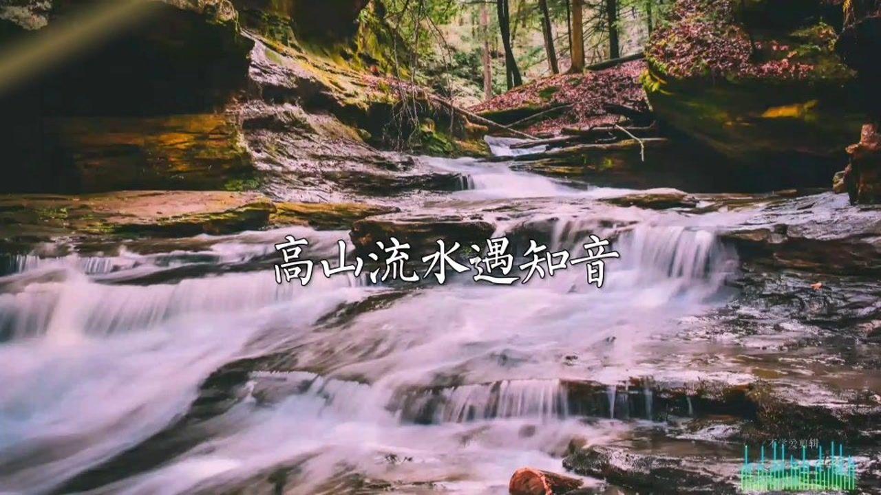 20个人吃鱼先生自助餐划算吗